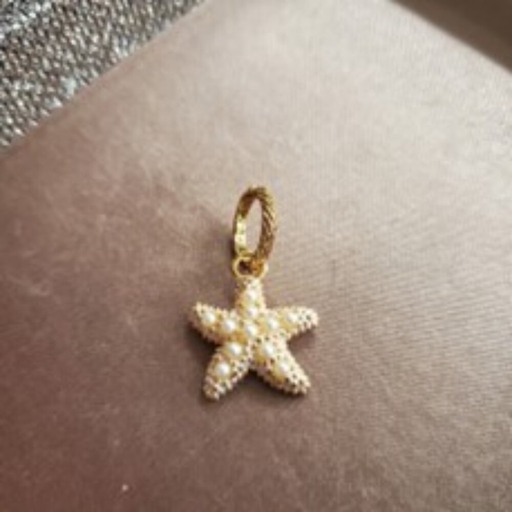 Beach Star Charm